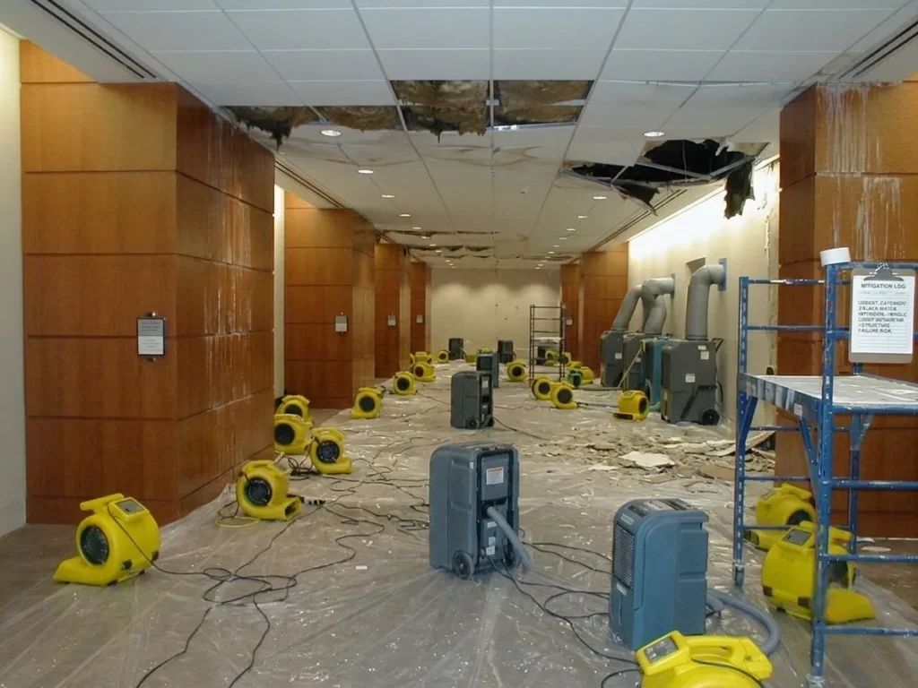 Emergency Water Damage Restoration in Atlanta Ga The Complete Homeowner and Business Guide