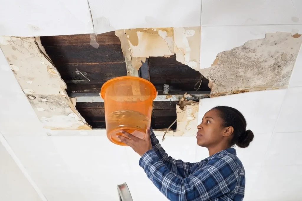 Water Damage Restoration Services Atlantas