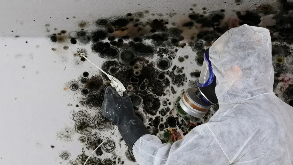 Black Mold Remediation Atlanta GA