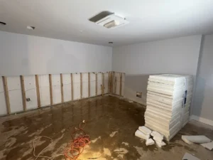 Home Remediation Companies Atlanta Air Drop