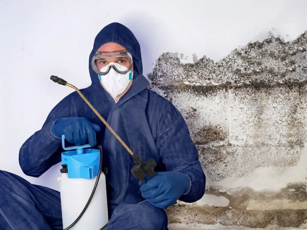 Mold Growth in Atlanta removcal Process