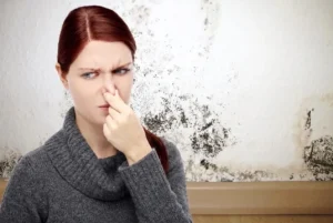 Smell Mold in Your House Atlanata Air Drop