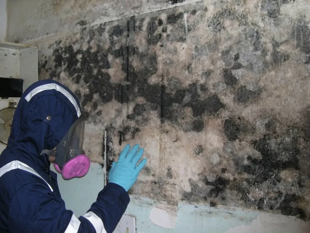 Black Mold Removal Atlanta GA