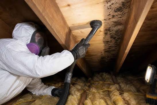 Commercial Mold Removal in Stone Mountain Atlanta Georgia