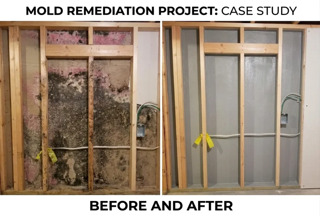 Mold Testing Atlanta GA Before and after