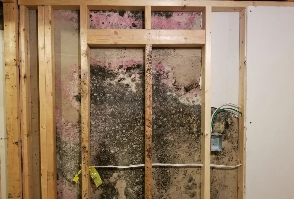 Mold Testing Atlanta GA Certified Inspection and Air Quality Sampling