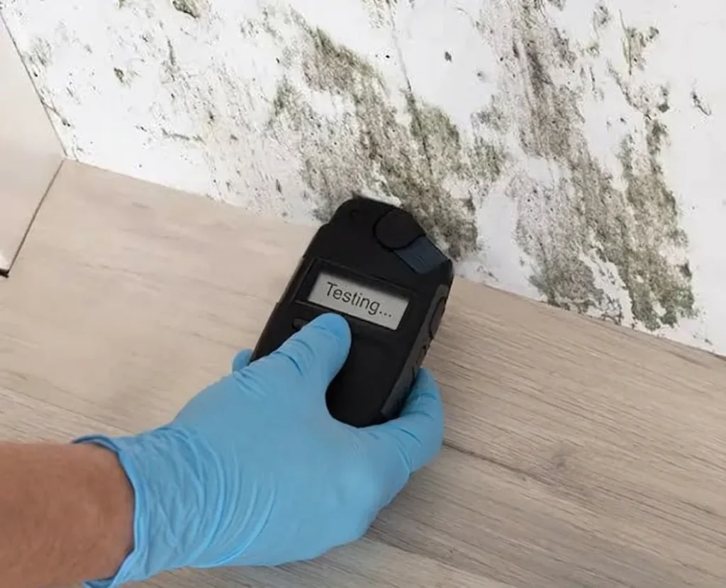 Mold Testing and Remediation in Stone Mountain, Atlanta Georgia
