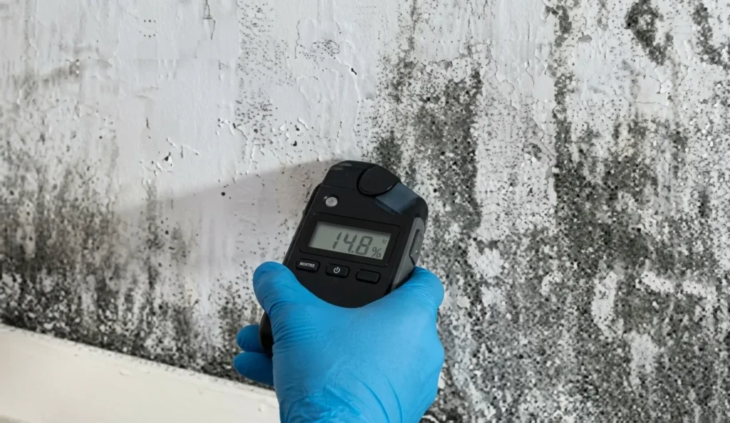 Professional Mold Testing Near Me in Stone Mountain Georgia Atlanta