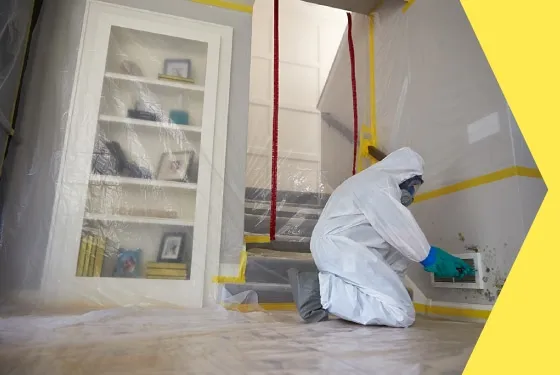 Room by room Certified Mold Removal Service in Stone a Mountain, Georgia, Atlanta