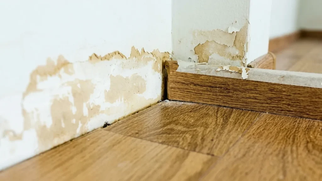 Water Damage Repairs Lawrenceville Georgia