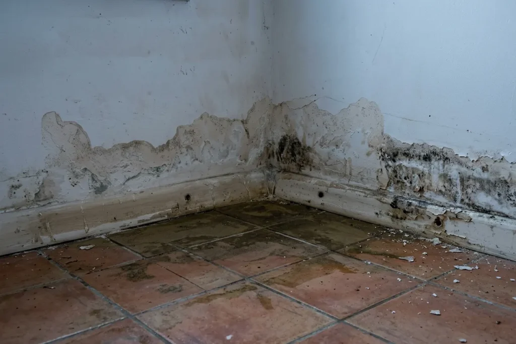 Water Damage in Stone Mountain GA 247 Restoration Experts