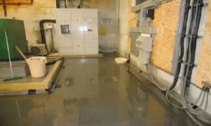 Water in Basement Who to Call Near Me Atlanta, Georgia